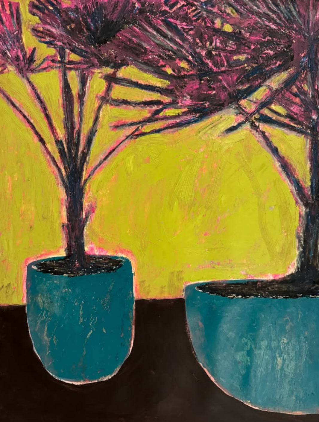 “Mexican Fan Palms” 18x24 in