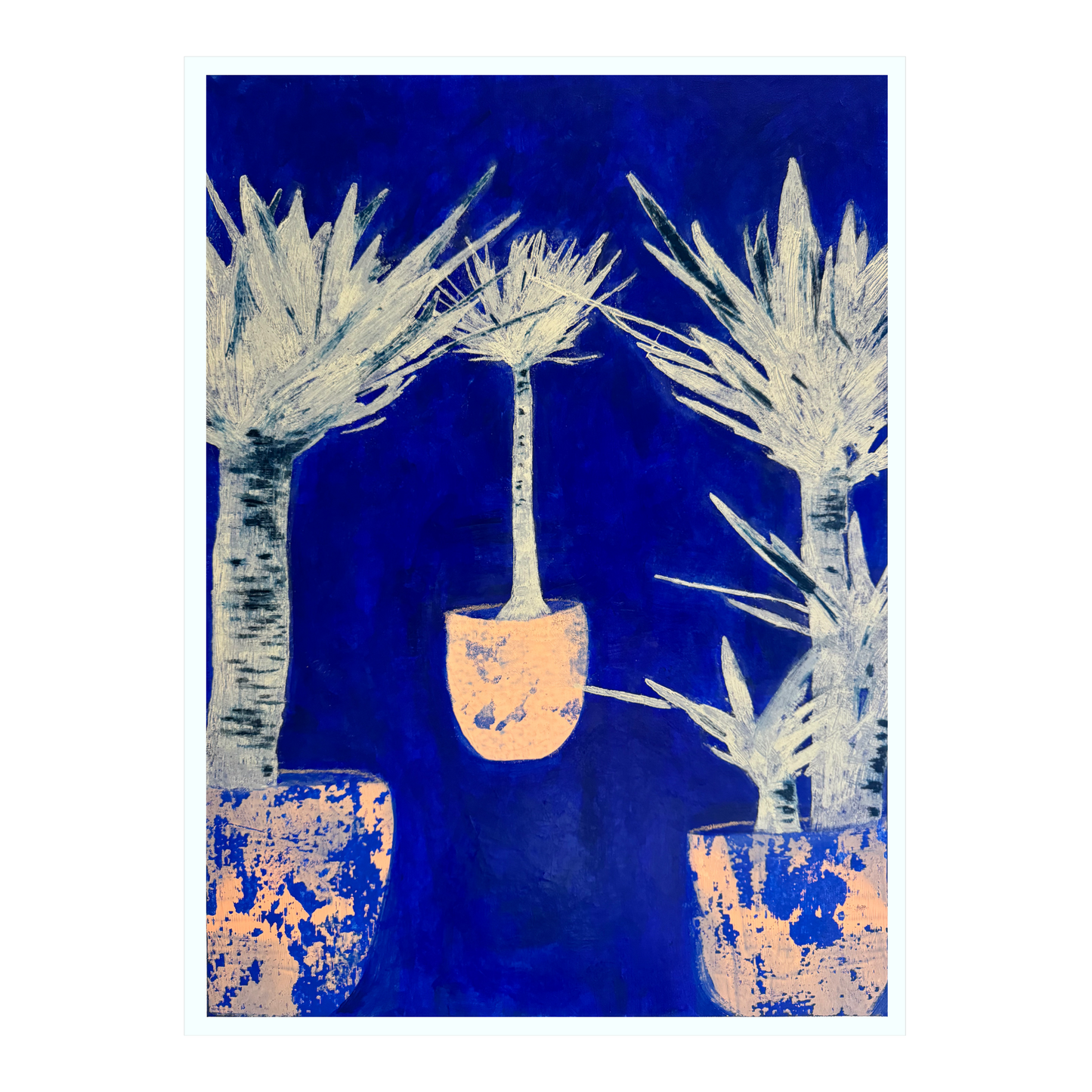 “Yuccas” 22x30 in