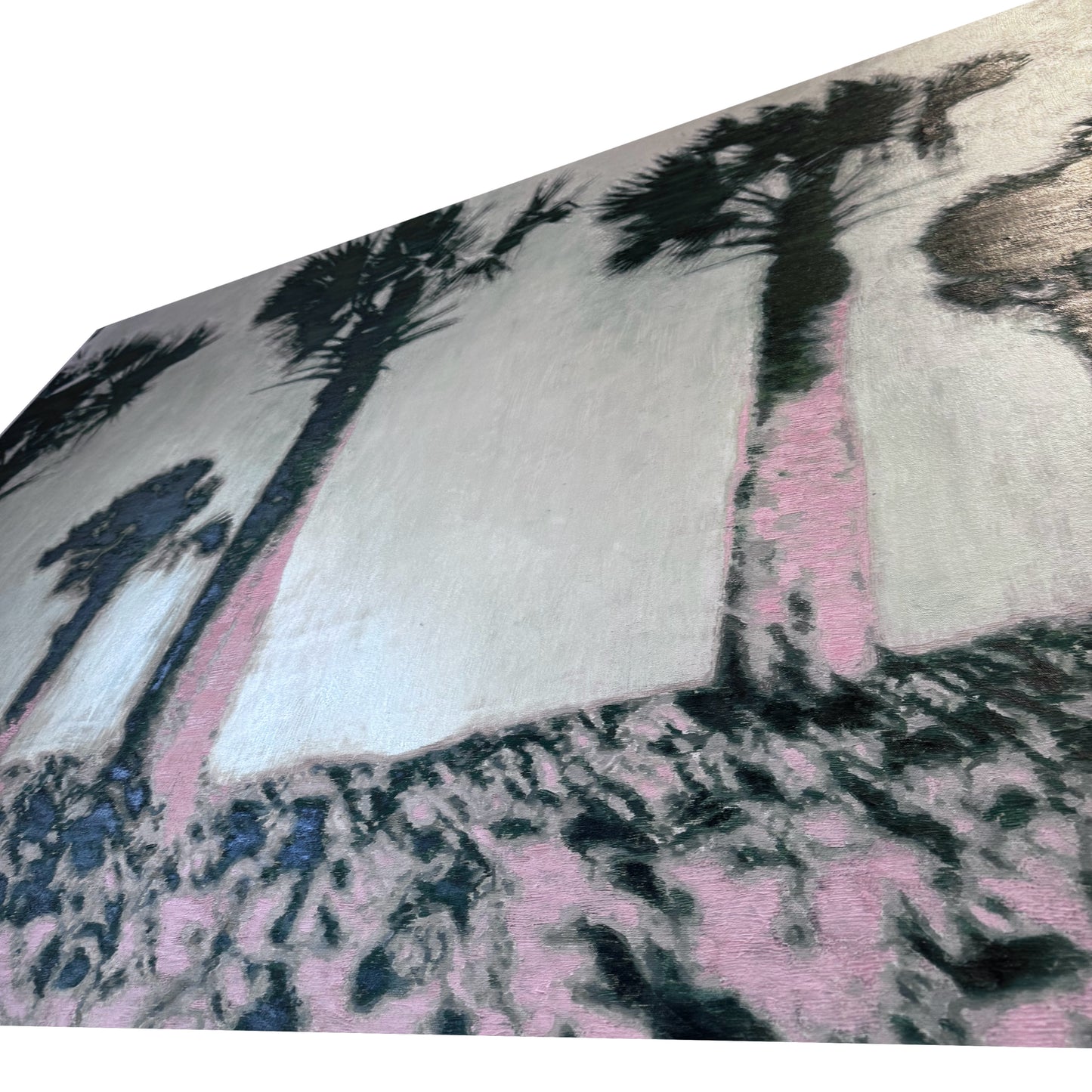 “Bismarckias” 46x66 in